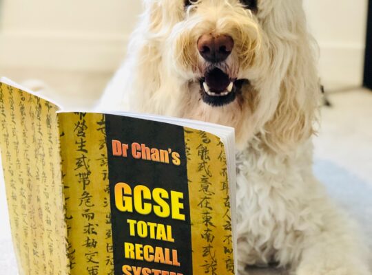 dr chans gcse total recall system review